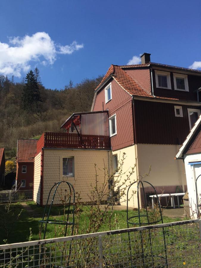 Haus Am Fluss Mit Wunderschoener Dachterrasse Mit Flussblick ,Garten Und Grill Цорге Экстерьер фото