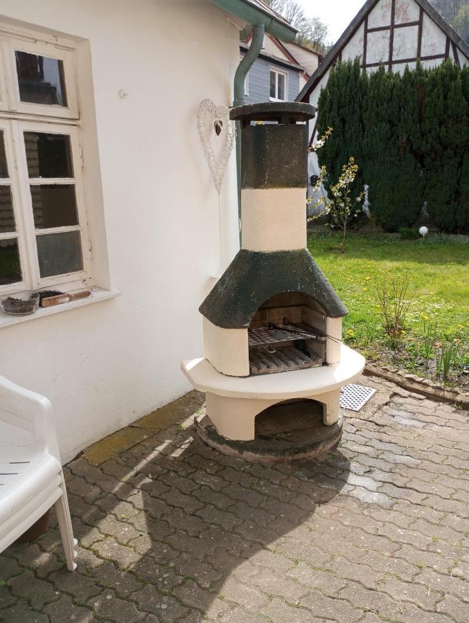 Haus Am Fluss Mit Wunderschoener Dachterrasse Mit Flussblick ,Garten Und Grill Цорге Экстерьер фото